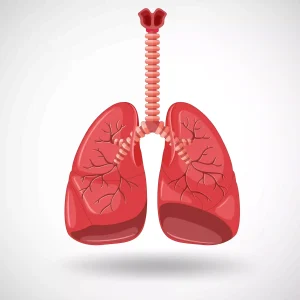 lungs specialist doctor in indore